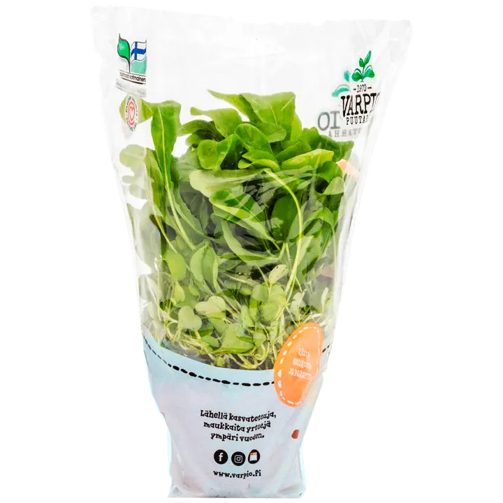 Varpio Puutarha rucola