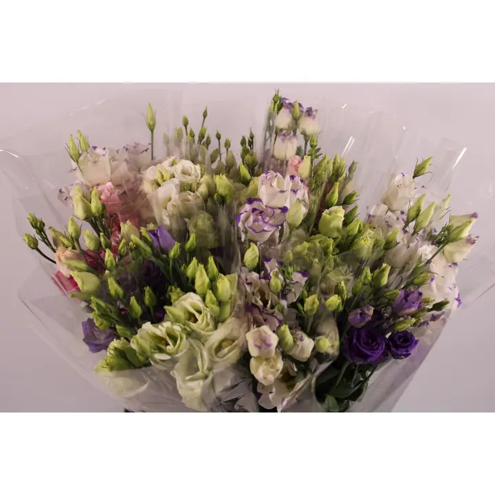 Eustoma , 50cm, Lajitelma