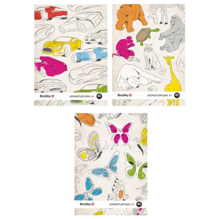 Joonistusplokk a4/40l 150g bradley