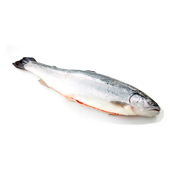 Vikerforell jahutatud, kg