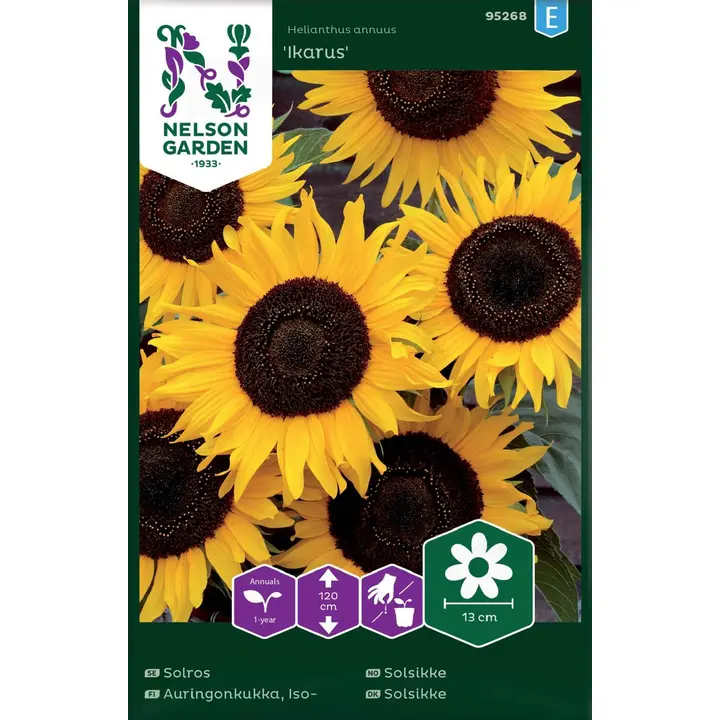 95268 päevalill ikarus