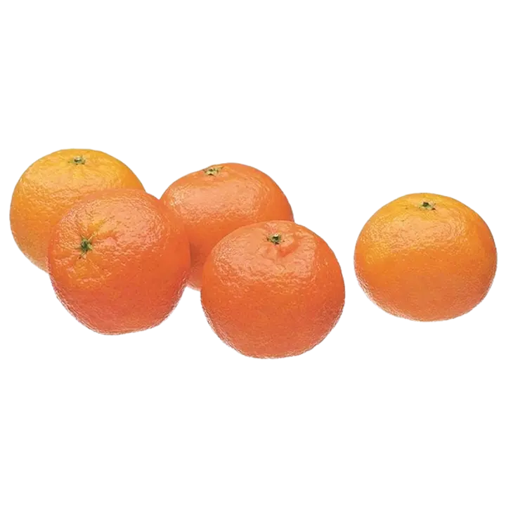 Klementiin Clemenules I klass