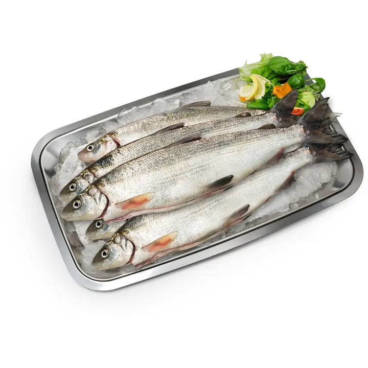 Hätälä Karisiika 4 avattu perattu