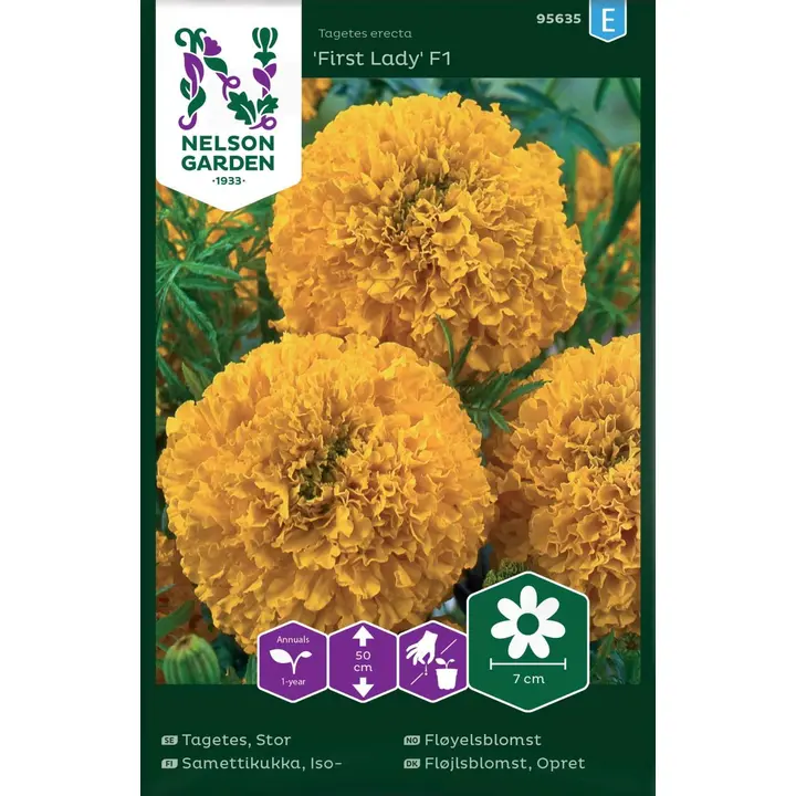 95635 tagetes inca gold f1