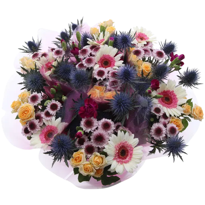 Kimp Lines