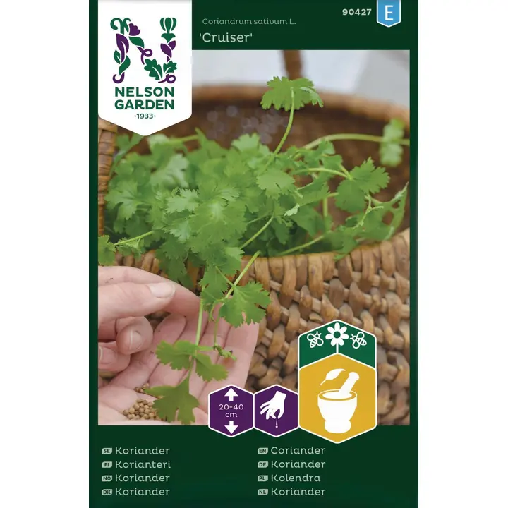 90427 koriandercruiser