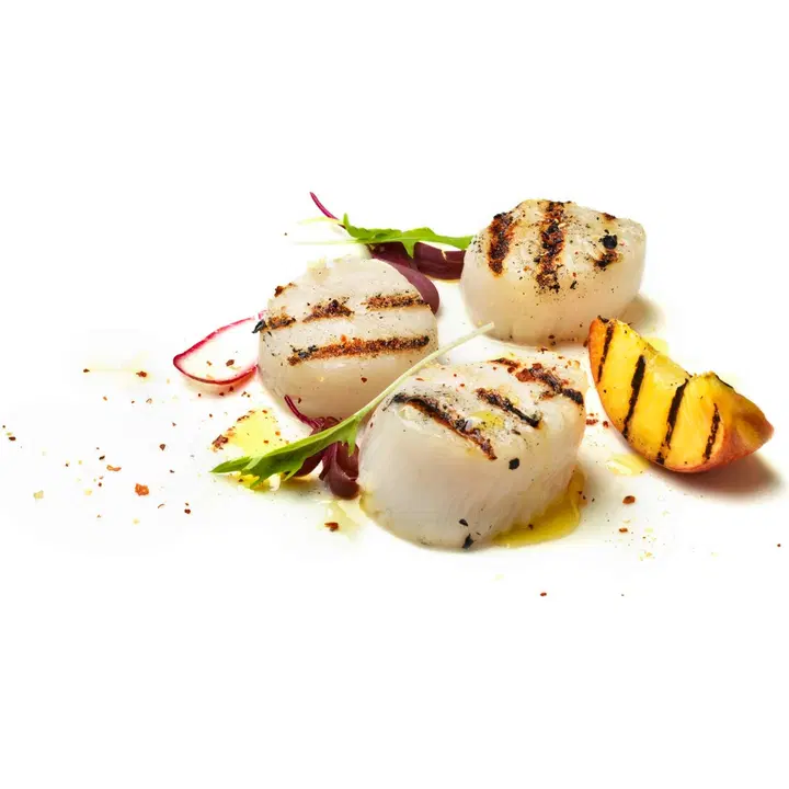 Herkku 450 g raaka kampasimpukka pakaste