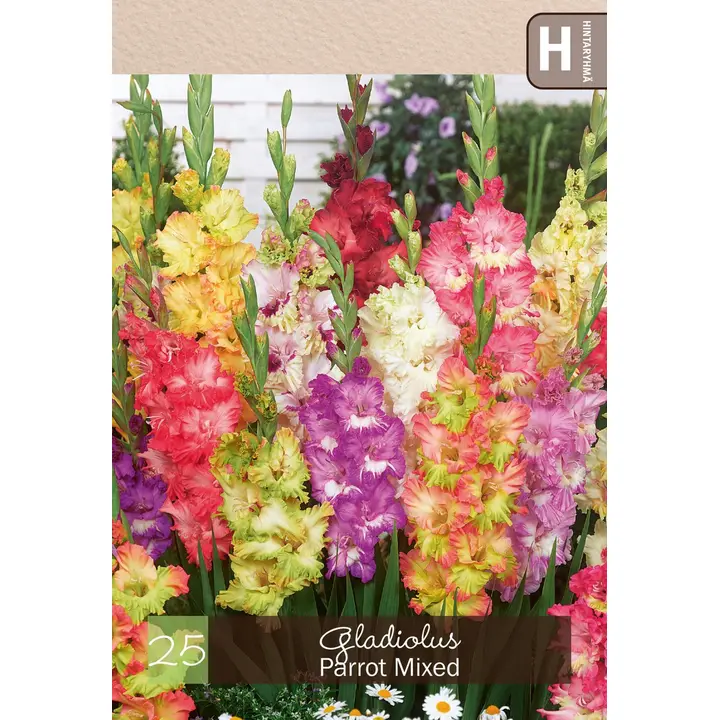 Gladiolussekoite 'Parrot' 25kpl