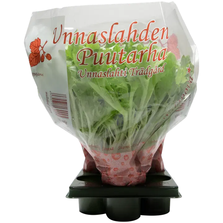 Unnaslahti Salanova korkea