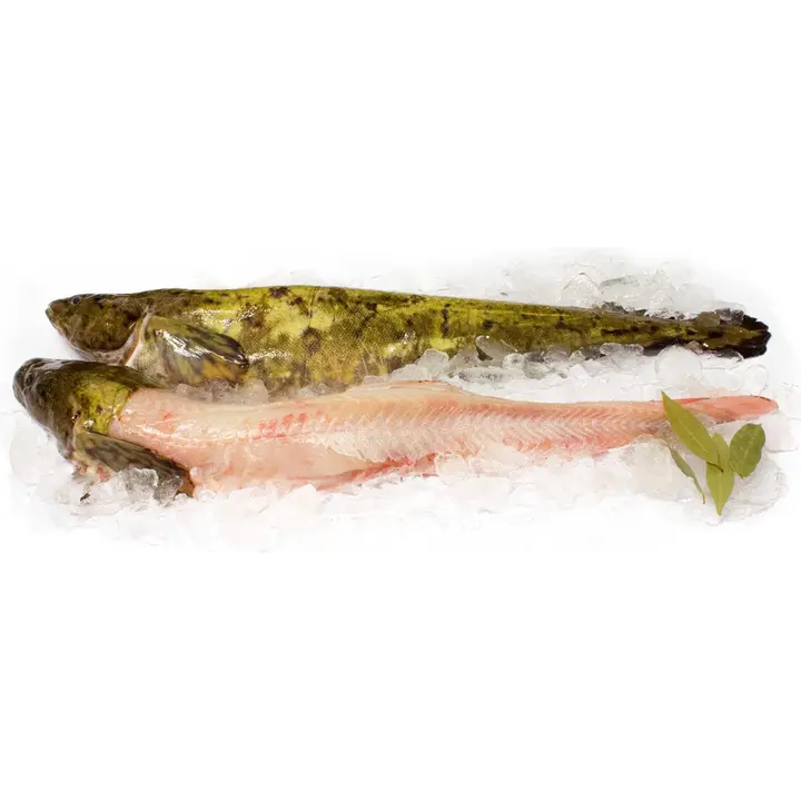 Hätälä Made nyljetty n5kg