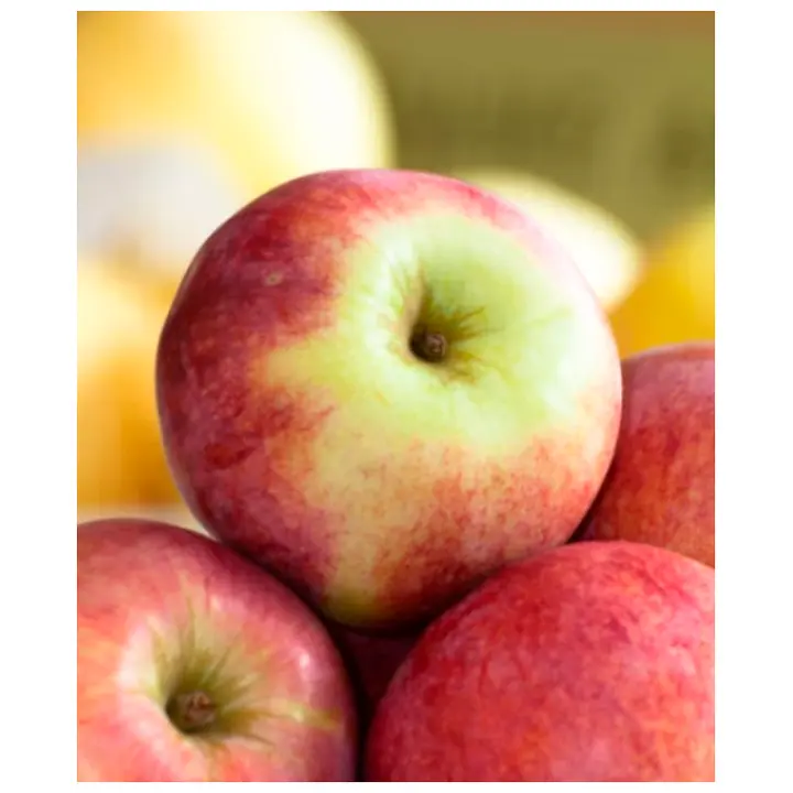 Õun Katre II klass 1kg