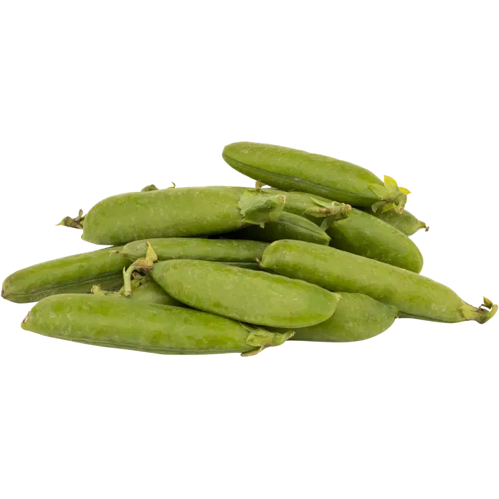 Marjatila Laaksonen herneenpalko