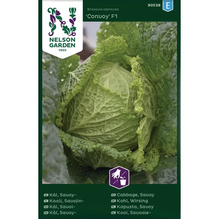 90538 kapsas savojin-, convoy f1