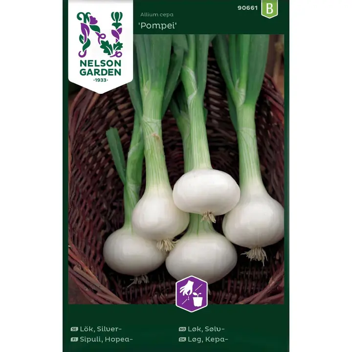 90661 sibul, hopea-, pompei