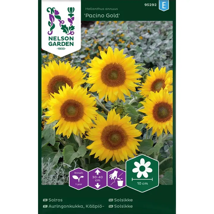 95292 päevalill pacino gold
