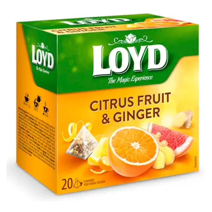 Loyd taime- ja puuviljatee ingveri- ja tsitrusemaitseline 20 x 2g PÜRAMIID
