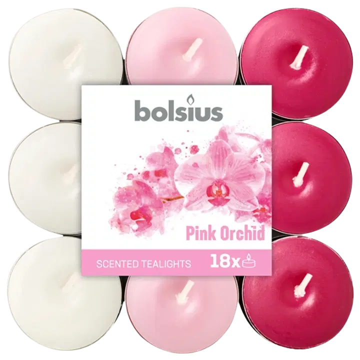 Bolsius teeküünal Orhidee 4h 18tk