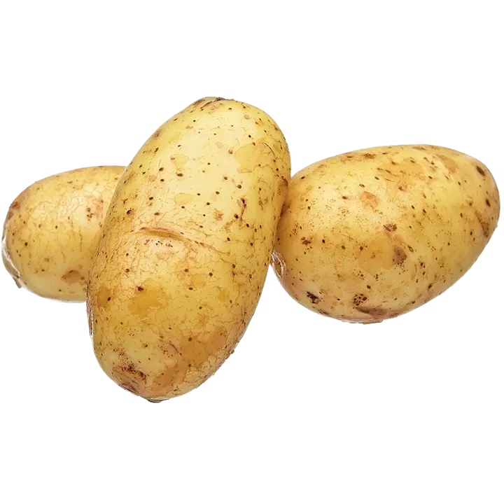 Peruna Siikli
