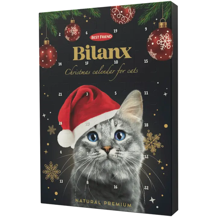 Best Friend Bilanx joulukalenteri 80 g