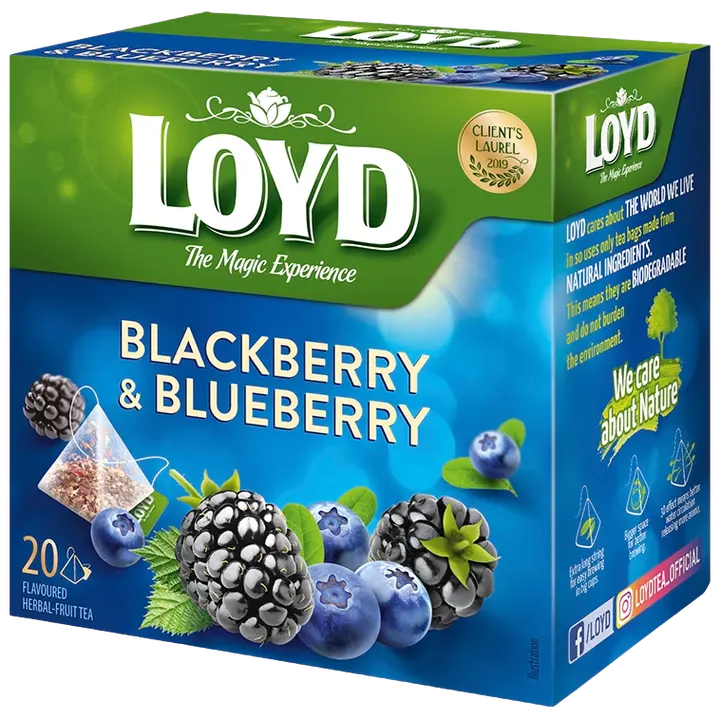 Loyd puuviljatee Pyramids põldmari ja mustikas 40g