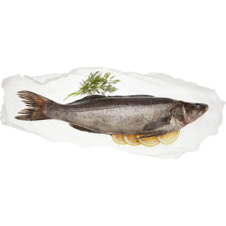 Järvikala Heinonen kuha