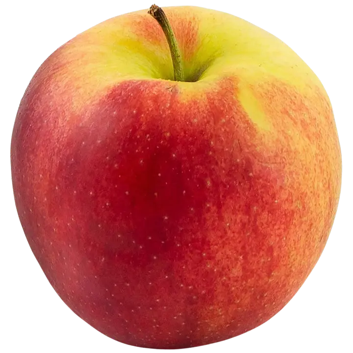 Õun Evelina I klass