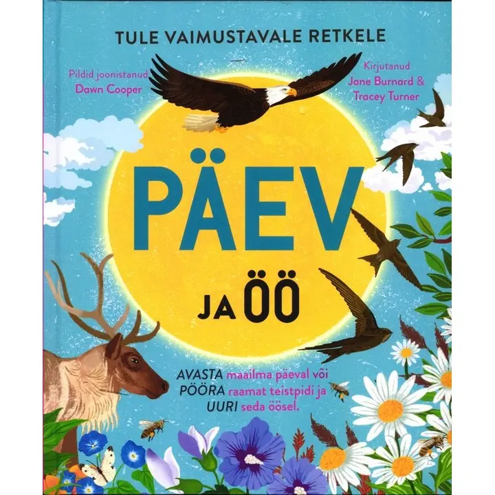 Päev ja öö