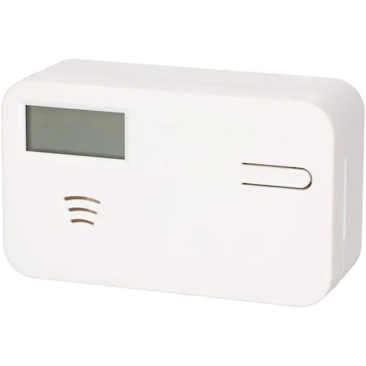 Vingugaasiandur Tarmo displeiga