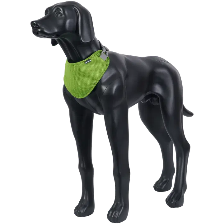 Icepeak Pet Kylande scarf M grön