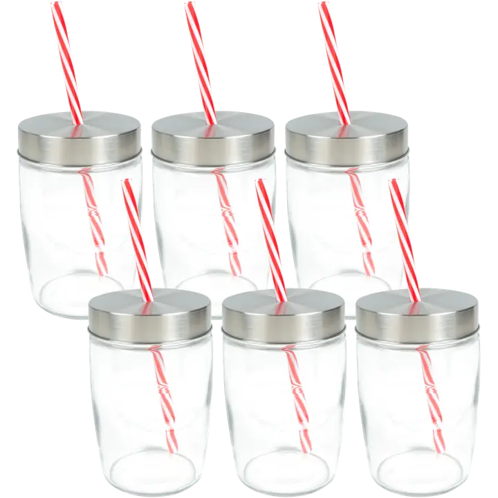 Joogipurgid House 0,45 l 6 tk