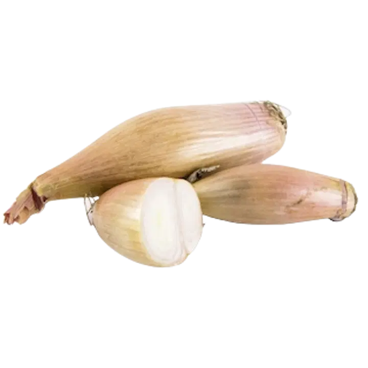 Banaanisalotti