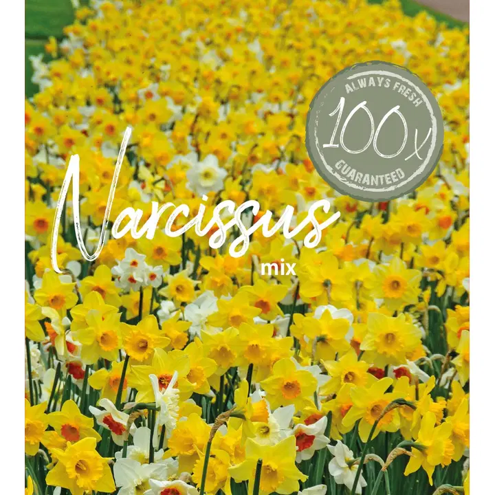 Farmers Market Narsissisekoite 100kpl