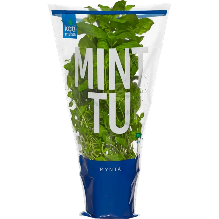Kotimaista minttu