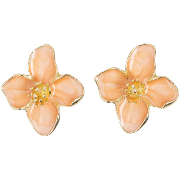 Cailap Nappikorvakorut kukka