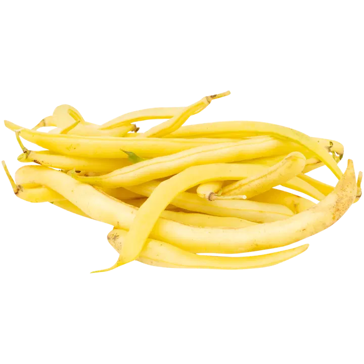 Pensaspapu vaalea