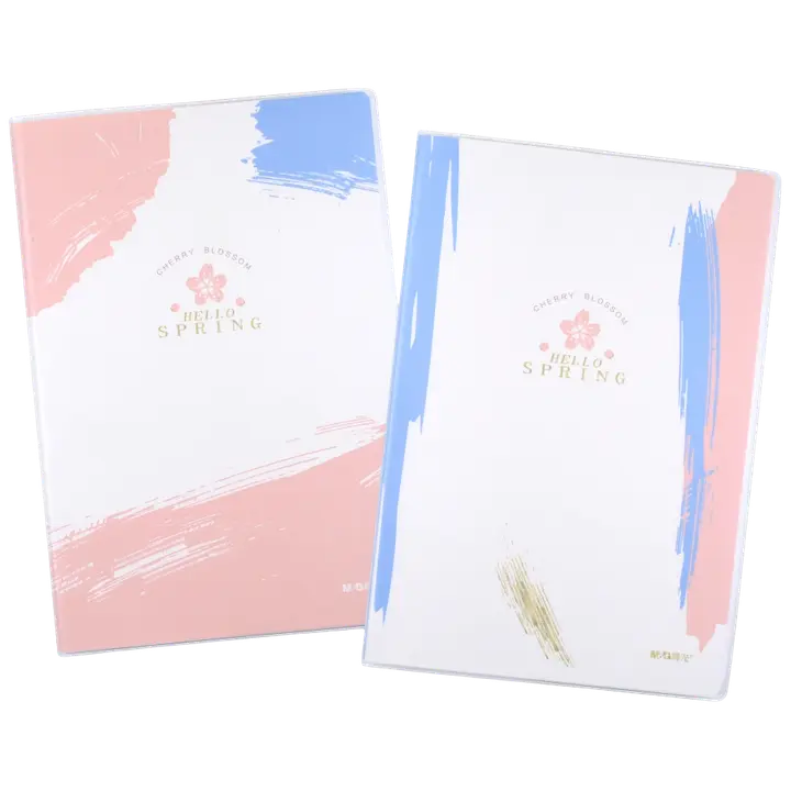 Märkmik jooneline 72 lehte plastikkaane