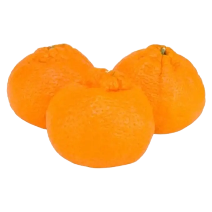 mandariin Banazzai Shiranui I klass