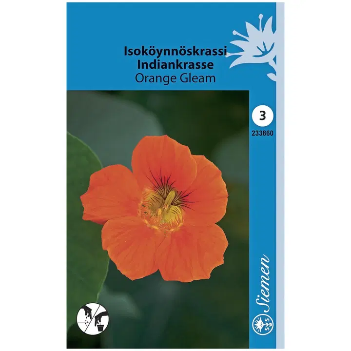 Isoköynnöskrassi Orange Gleam