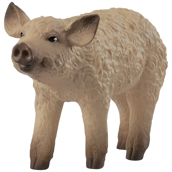 Mangalica siga