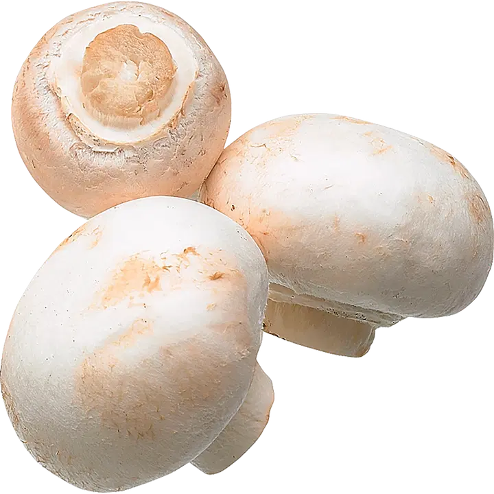Herkkusieni Jumbo