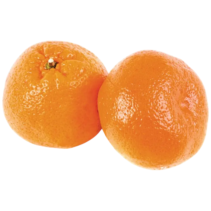 Mandariin Bruno I klass