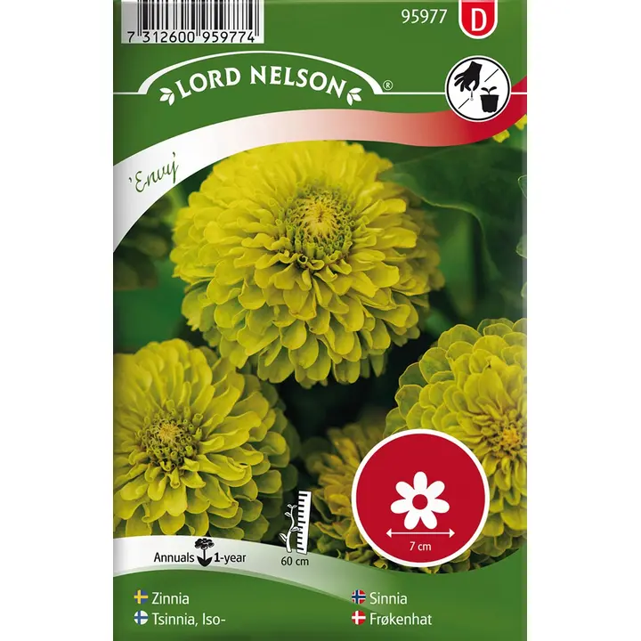 95977 zinnia envy
