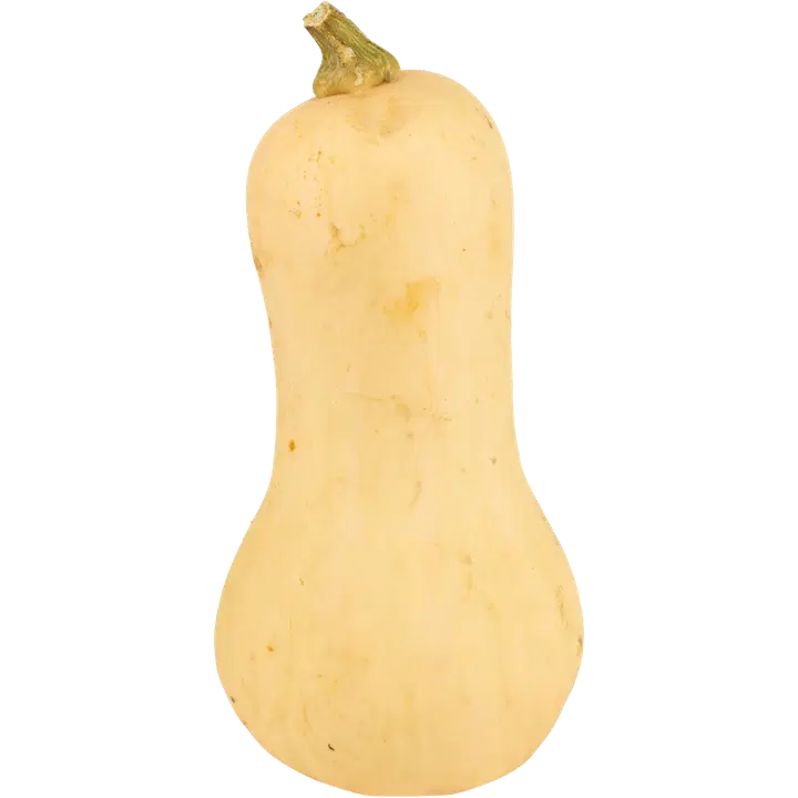 MYSKIKURPITSA