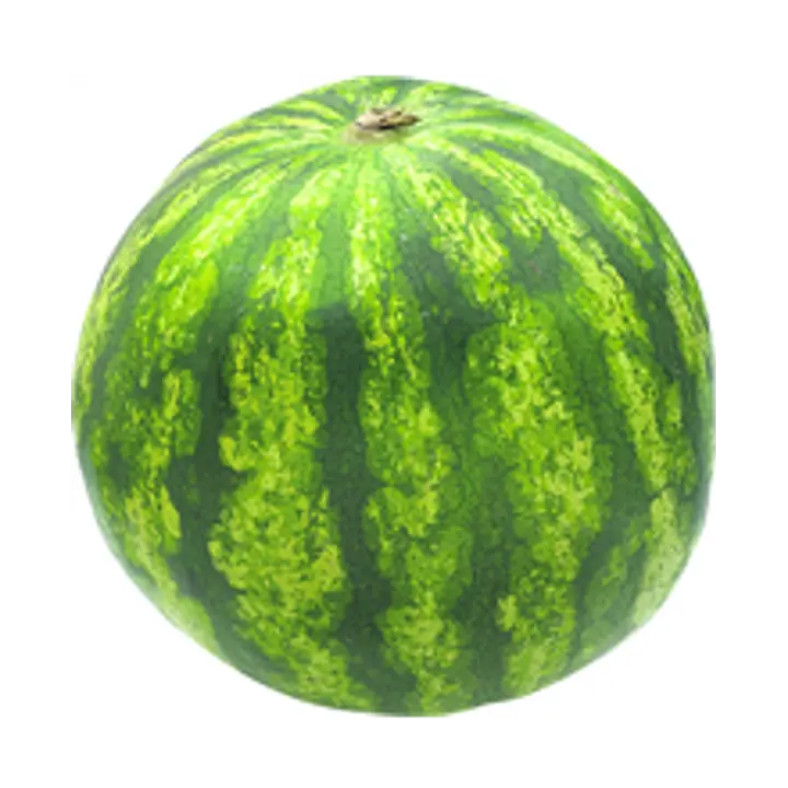 Vesimeloni luomu Espanja