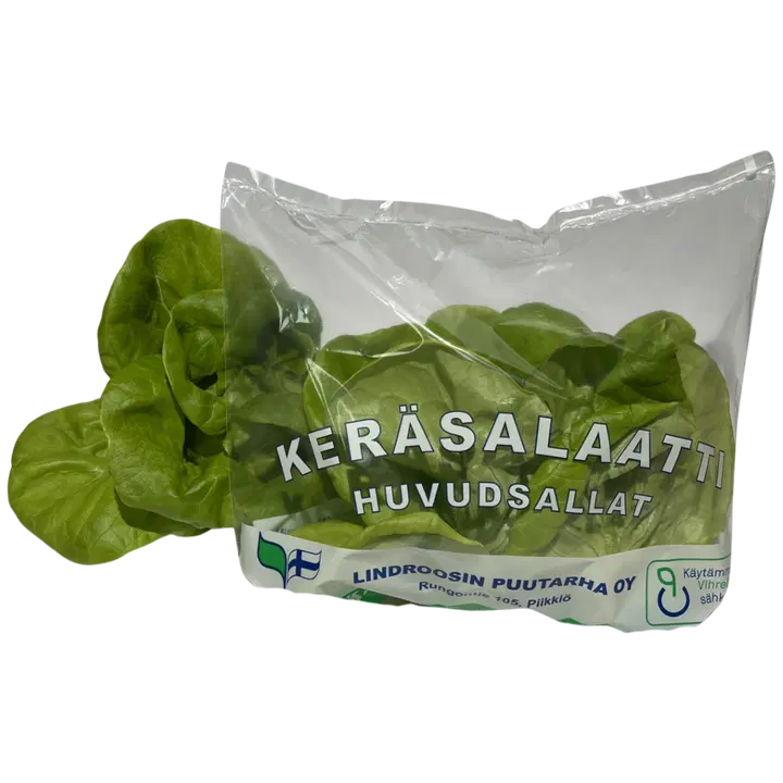 KERÄSALAATTIPUSSI