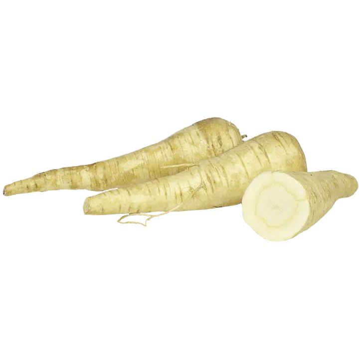 Palsternakka