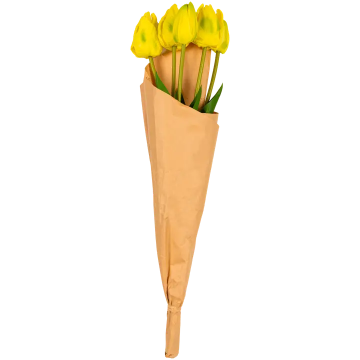 Tulpide kimp 5 tk 50 cm