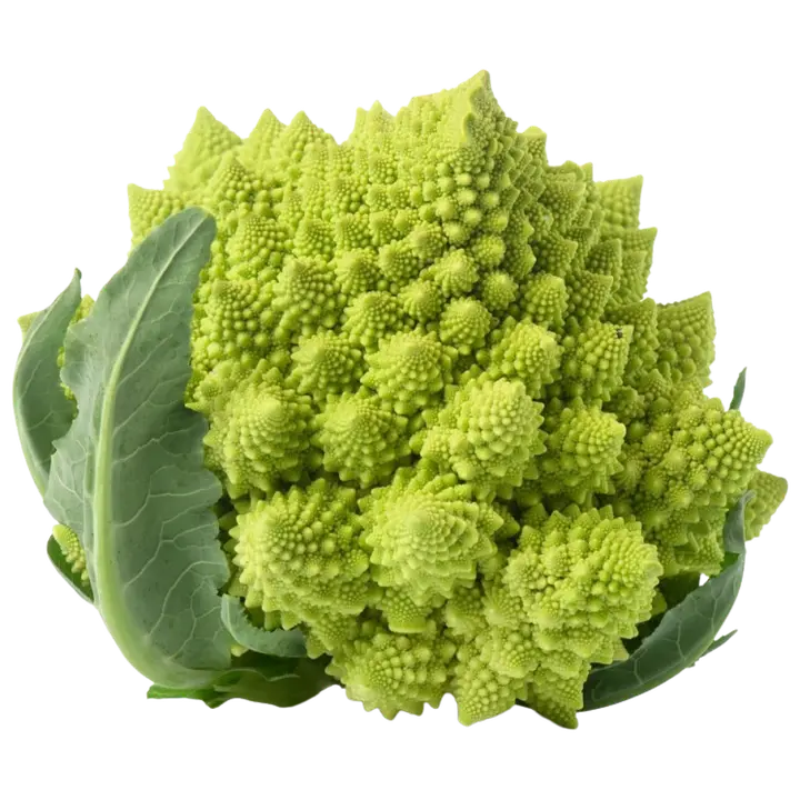Romanesco lillkapsas