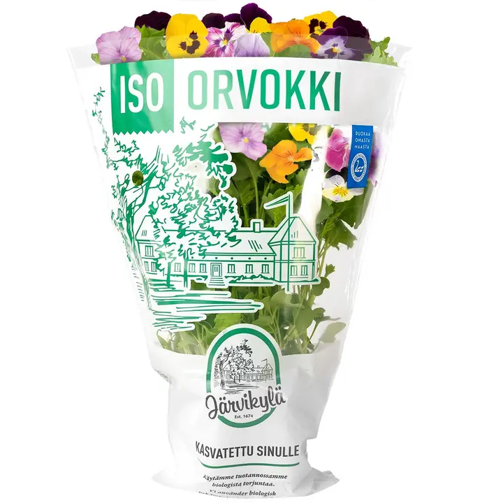 Järvikylän orvokki, iso 328 g