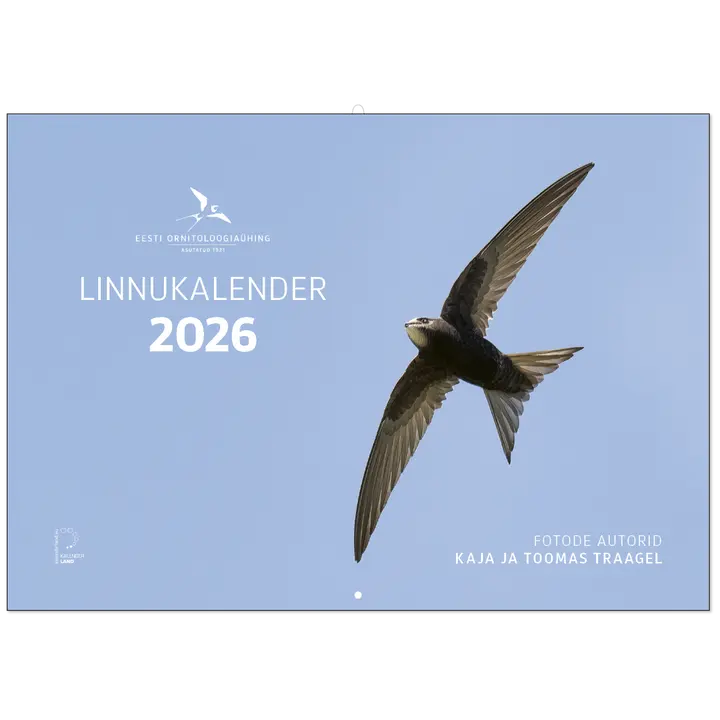 LINNUKALENDER, A4, KLAMBERKÖIDE